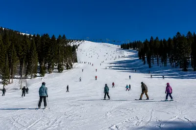 Busy Downhill Ski Slope on Sunny Mountain
