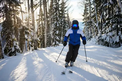 Skier Descending a Snowy Forest Trail