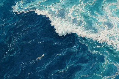 Aerial Summer Surfer on Turquoise Ocean Wave