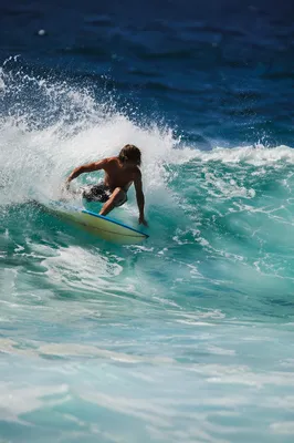 Surfer Carving Bright Turquoise Summer Wave