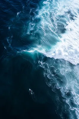 Aerial Summer Surfer in Turquoise Ocean