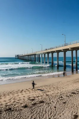 Summer Surfers Beneath a Coastal Pier