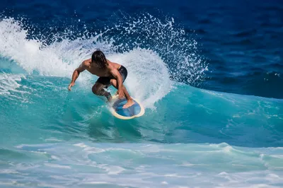 Surfer Carving Bright Turquoise Summer Wave