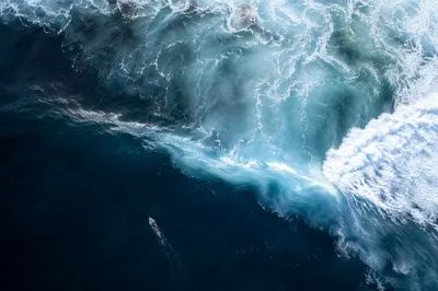 Aerial Summer Surfer and Turquoise Ocean Wave