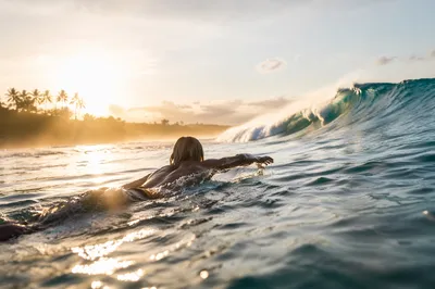 Surfer Paddling Toward Sunrise Ocean Wave