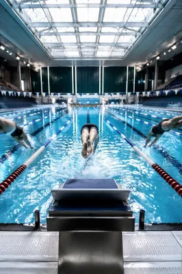 Indoor Swimming Race Start Competition Lanes