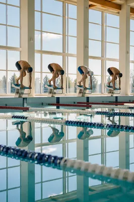 Indoor Swim Race Start at Dawn