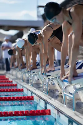 Competitive Swimmers Ready on Starting Blocks