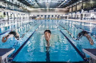 Indoor Swimming Race Start Competition Lanes