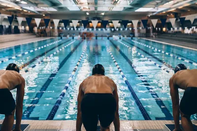 Indoor Swimming Pool Dive Start Lanes