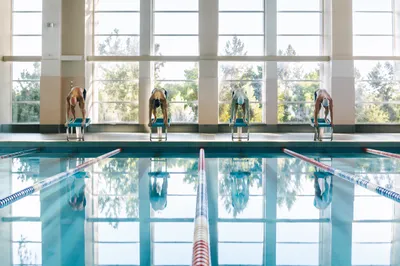 Indoor Swimming Pool Race Start Tension
