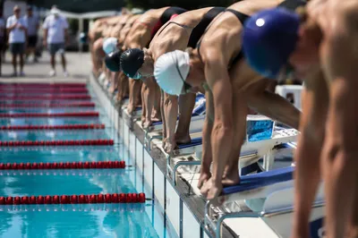 Competitive Swimmers on Outdoor Pool Starting Blocks
