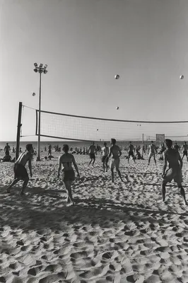 Summer Beach Volleyball Game by the Net
