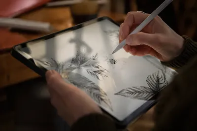 Creative Hands Drawing on Digital Tablet