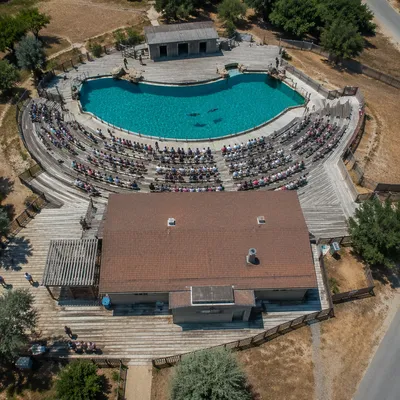 Drone Aerial View of Aquatic Amphitheater