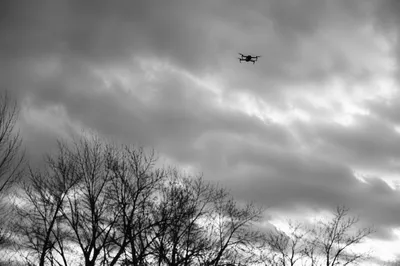 Drone Silhouette Over Winter Branches