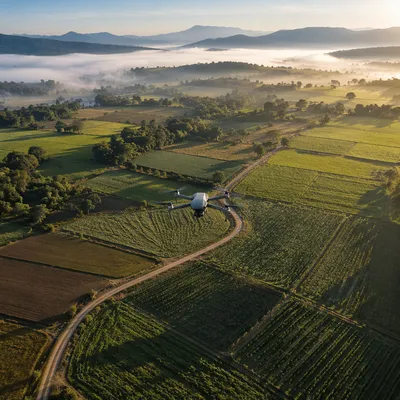 Drone Survey Over Morning Farmland