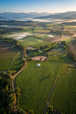 Drone Survey Over Morning Farmland