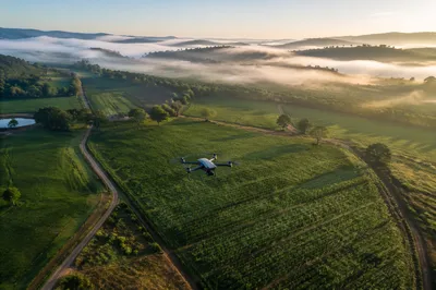 Drone Survey Over Morning Farmland