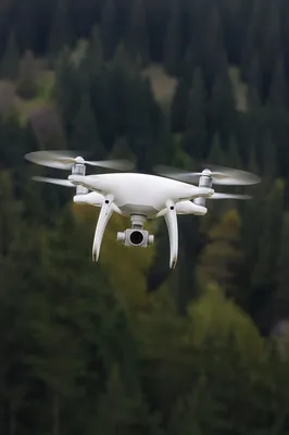 White Drone Hovering Over Evergreen Forest