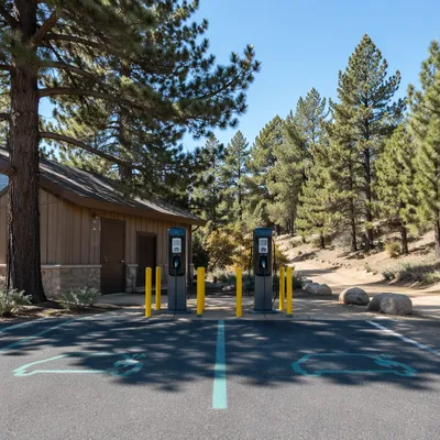Green Electric Vehicle Charging in Wooded Park