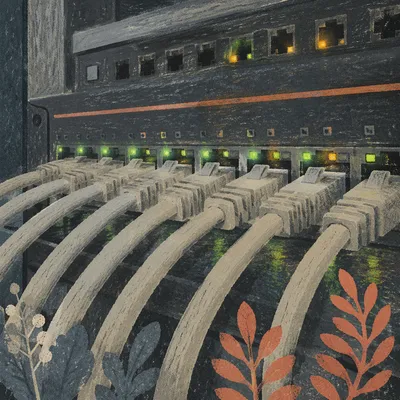 Ethernet Cables Connected to Network Router