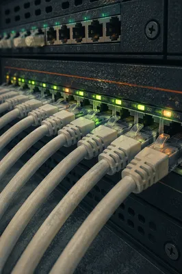 Ethernet Cables Connected to Network Router
