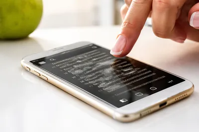 Online Bible App on Smartphone Screen