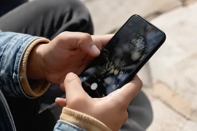 Hands Holding Smartphone in Sunlit Close Up