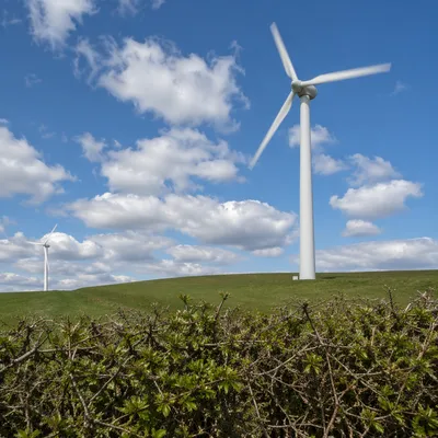 Wind Turbines Over Spring Green Hills