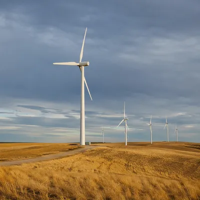 Wind Turbines Across Golden Farmland