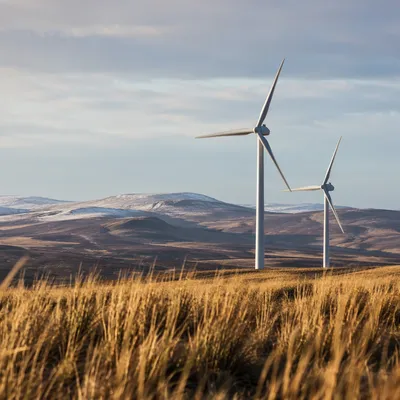 Wind Turbines Over Golden Winter Hills