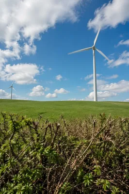 Wind Turbines Over Spring Green Hills