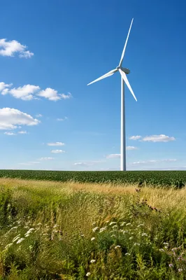White Wind Turbine Over Green Farmland