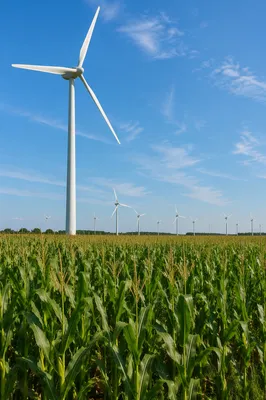 Renewable Wind Turbines Over Green Farmland