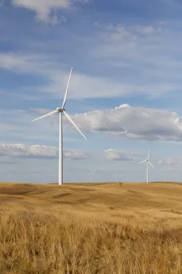 Wind Turbines Over Golden Grassland