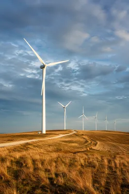 Wind Turbines Over Golden Farmland