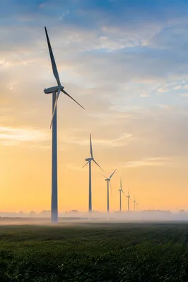 Dawn Wind Turbines Over Green Fields