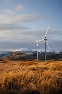 Wind Turbines Over Golden Winter Moorland