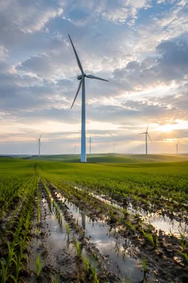 Morning Wind Turbines Over Green Farmland