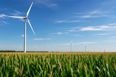 Wind Turbines Over Green Farm Field
