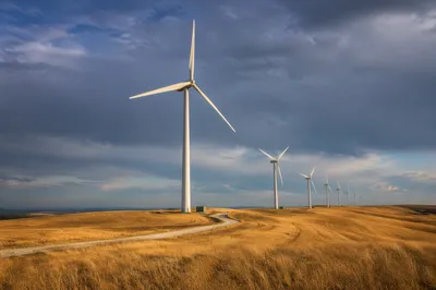 Wind Turbines Across Golden Farmland