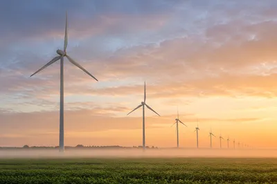 Wind Turbines at Dawn Over Green Fields
