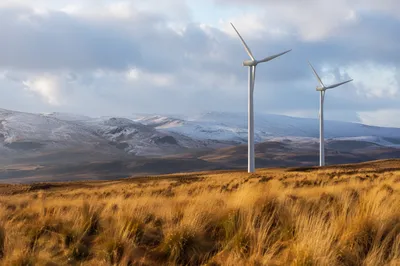 Wind Turbines Over Golden Winter Field