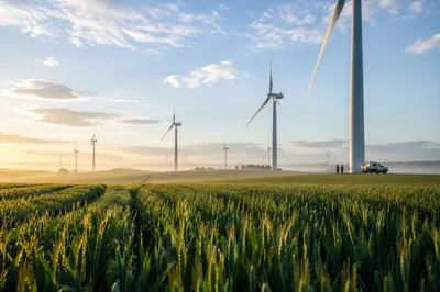 Wind Turbines Across Morning Green Field