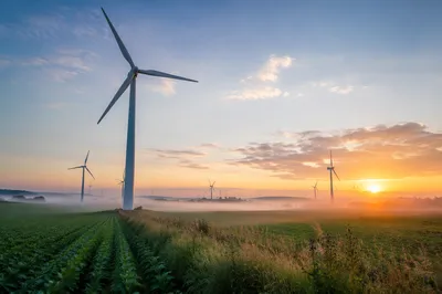 Dawn Wind Turbines Over Rolling Farmland