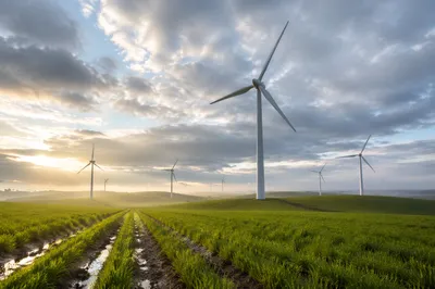 Wind Turbines Over Spring Farmland