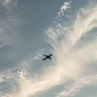 Airplane Silhouette in Vast Cloudy Sky