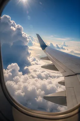 Peaceful Airplane Wing Above Sunlit Clouds