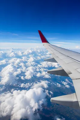 Airplane Wing Above Sunlit Clouds